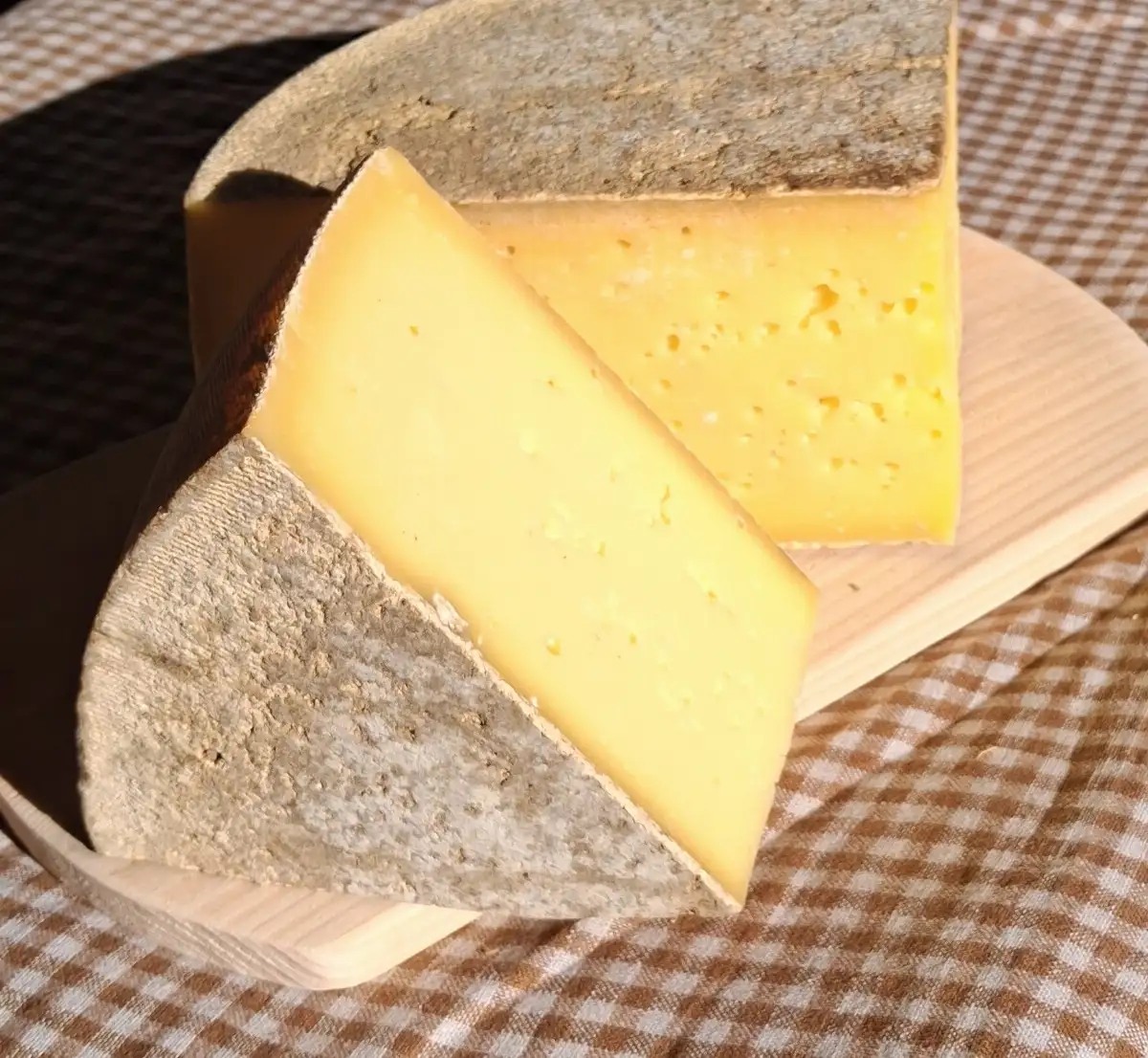 Tomme Courlis BIO