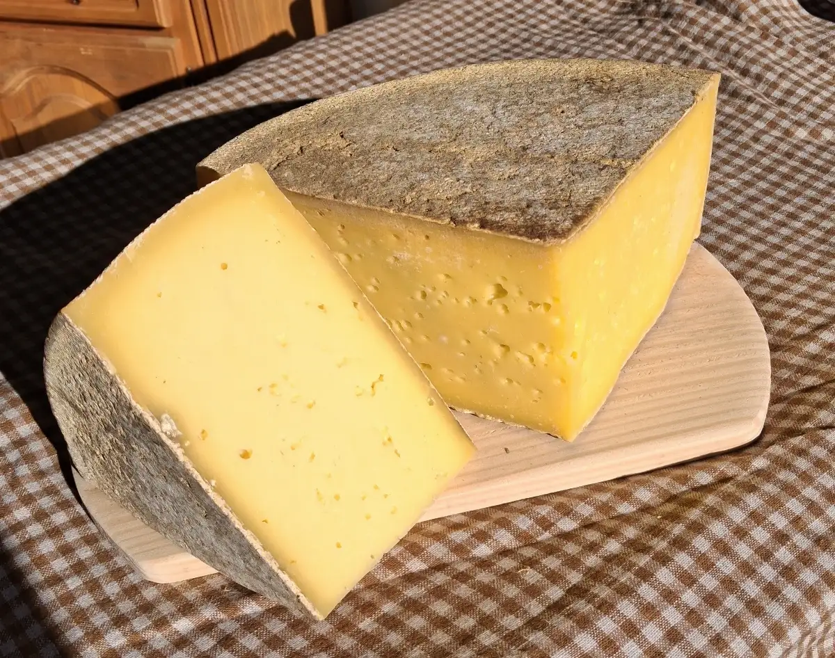Tomme Courlis BIO
