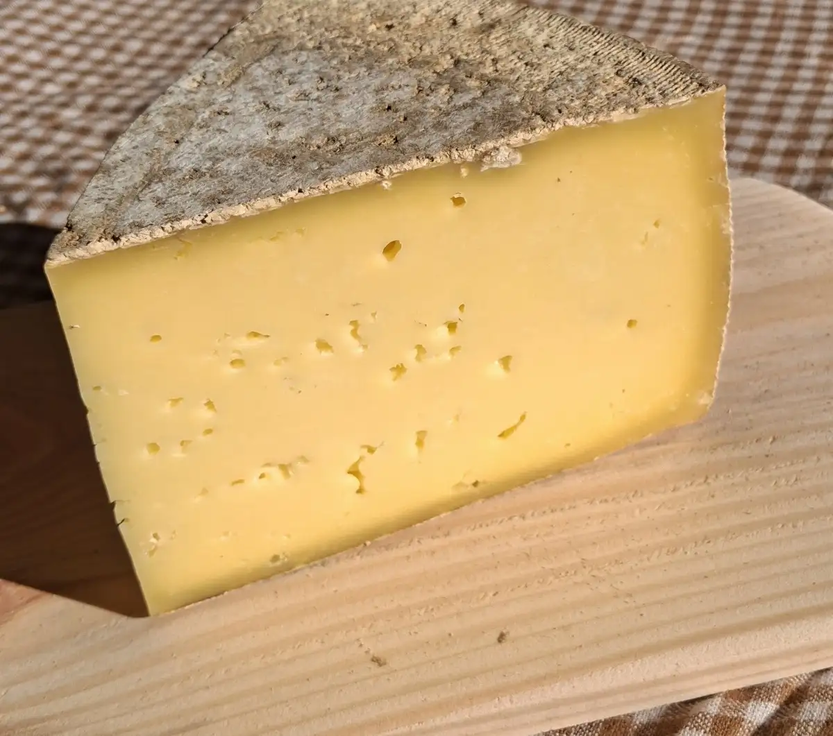 Tomme Courlis BIO